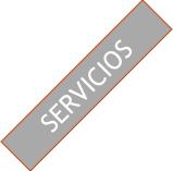 SERVICIOS